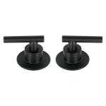 MANERAL REGADERA TUBIG PALANCA NEGRO JGO